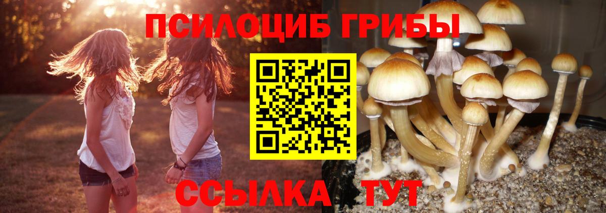 Галлюциногенные грибы мицелий Анапа